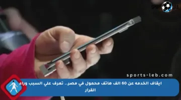 إيقاف الخدمة عن 60 ألف هاتف محمول في مصر.. تعرف على السبب وراء القرار